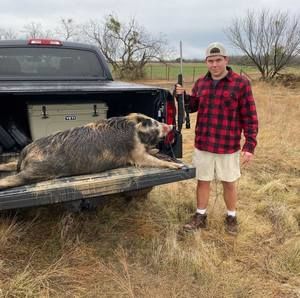 Meet your Posher, Beau